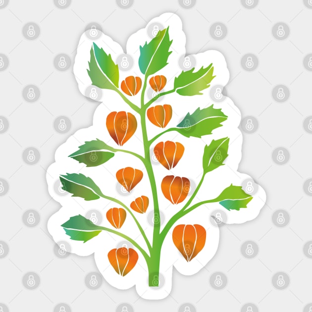 Physalis vector Sticker by Bwiselizzy
